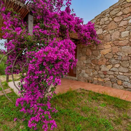 Lu Stazzu Di Tarraolta 4 Casa vacanze Aglientu